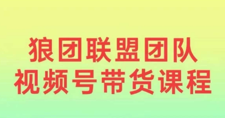 狼团联盟2024视频号带货，0基础小白快速入局视频号-蓝悦项目网