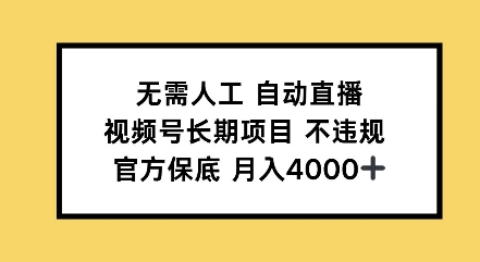 无需人工自动直播，视频号长期项目不违规，官方保底月入4000左右-蓝悦项目网