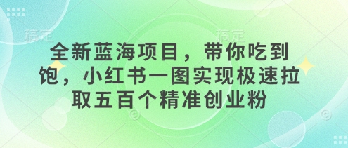 全新蓝海项目，带你吃到饱，小红书一图实现极速拉取五百个精准创业粉-蓝悦项目网