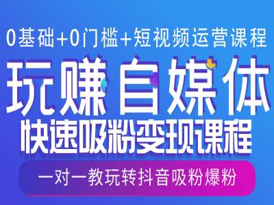 0基础+0门槛+短视频运营课程，玩赚自媒体快速吸粉变现课程，一对一教玩转抖音吸粉爆粉-蓝悦项目网