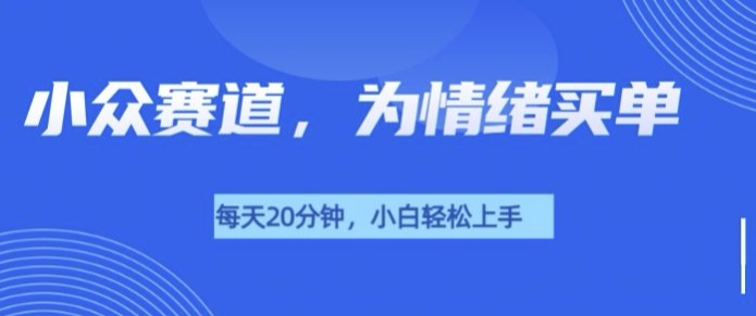 小众赛道，我的治愈系电子抱枕，让用户为情绪买单-蓝悦项目网