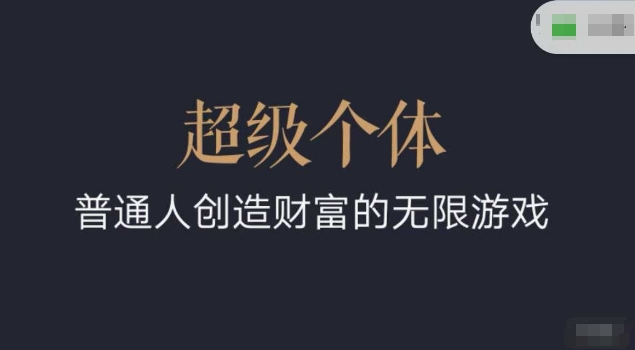 超级个体2024-2025逆风翻盘手册，平常人创造价值的无限恐怖游戏-蓝悦项目网