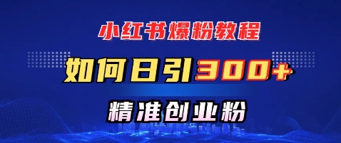 小红书的涨粉实例教程，怎样日引300 自主创业粉，迅速进行精准转现-蓝悦项目网