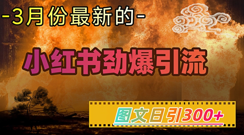 小红书的超劲爆引流方法方式，图文并茂日引300 轻轻松松转现1W-蓝悦项目网