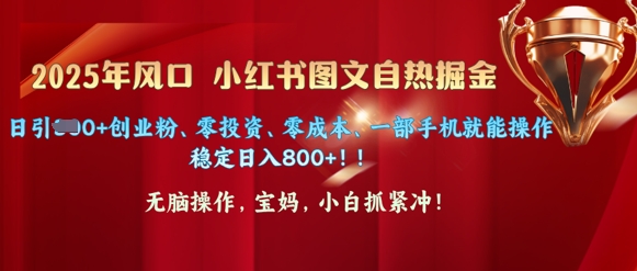 25年出风口小红书的图文并茂掘金队，日引300 自主创业粉、零投资、零成本、一部手机就能实际操作-蓝悦项目网