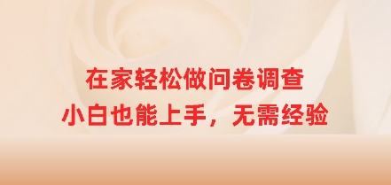 在家里轻轻松松做问卷调查，新手也可以入门，无需经验-蓝悦项目网