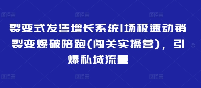 裂变开售提高系统软件1场急速促销裂变式工程爆破陪跑(冲关实际操作营)，点爆私域流量池-蓝悦项目网