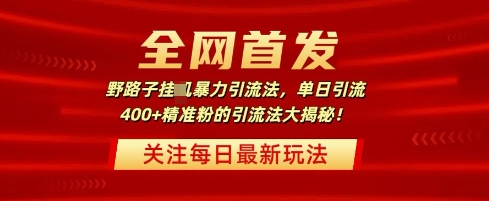 独家首发，歪门邪道暴力行为引流法，单日引流方法400 精准粉的引流法大曝光-蓝悦项目网